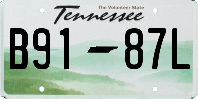 TN license plate B9187L