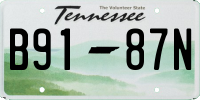 TN license plate B9187N