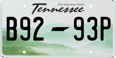 TN license plate B9293P