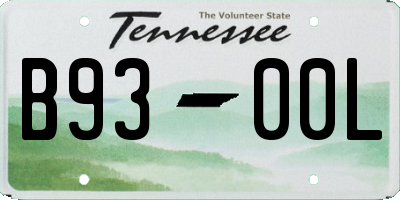 TN license plate B9300L