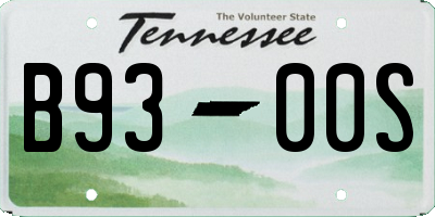 TN license plate B9300S