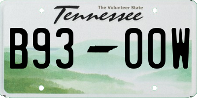 TN license plate B9300W
