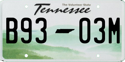 TN license plate B9303M
