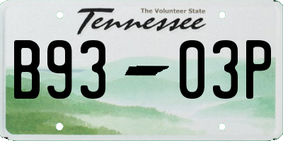 TN license plate B9303P