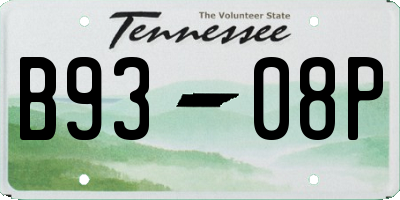 TN license plate B9308P