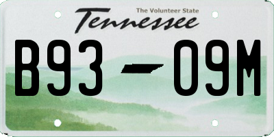 TN license plate B9309M