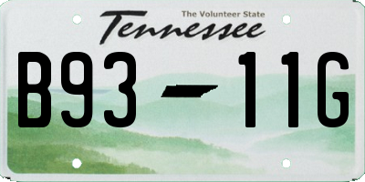 TN license plate B9311G