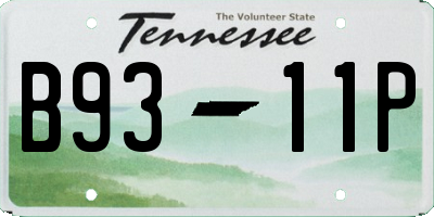 TN license plate B9311P