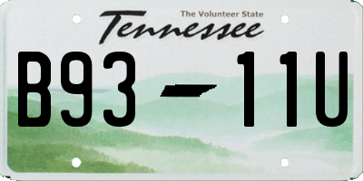 TN license plate B9311U