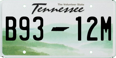 TN license plate B9312M