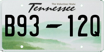 TN license plate B9312Q