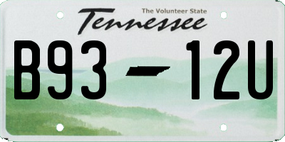TN license plate B9312U