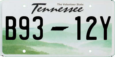 TN license plate B9312Y