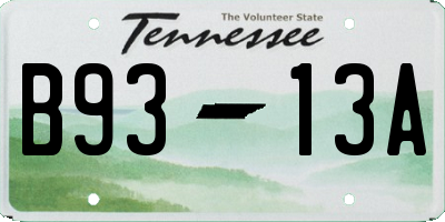 TN license plate B9313A