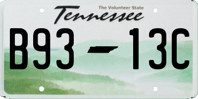 TN license plate B9313C