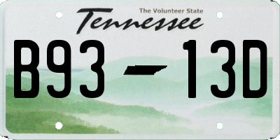 TN license plate B9313D
