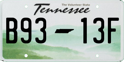 TN license plate B9313F