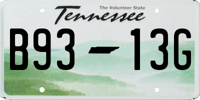 TN license plate B9313G