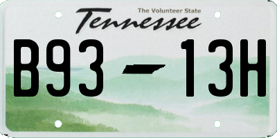 TN license plate B9313H