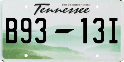 TN license plate B9313I