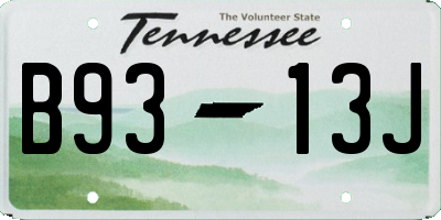 TN license plate B9313J