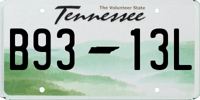 TN license plate B9313L
