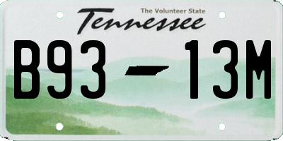 TN license plate B9313M