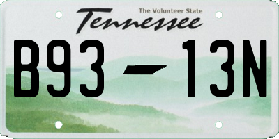 TN license plate B9313N
