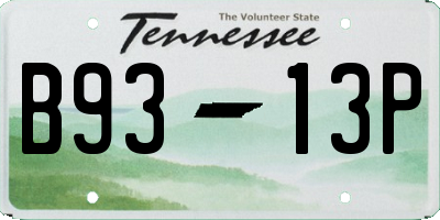 TN license plate B9313P