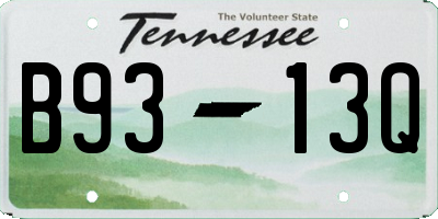 TN license plate B9313Q