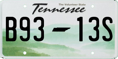 TN license plate B9313S