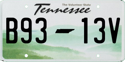 TN license plate B9313V