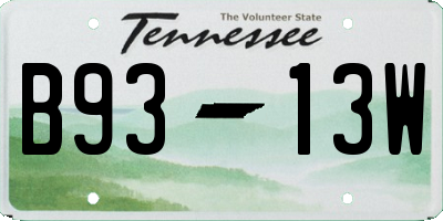 TN license plate B9313W