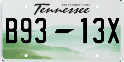 TN license plate B9313X