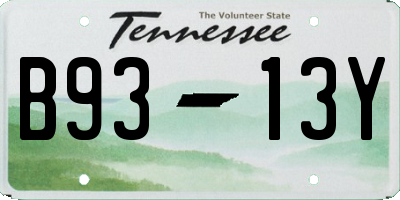 TN license plate B9313Y
