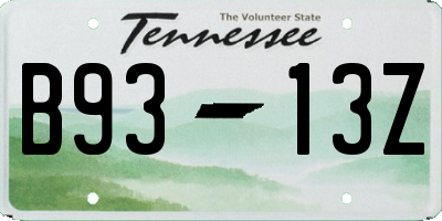 TN license plate B9313Z