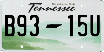 TN license plate B9315U