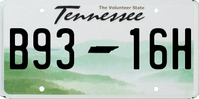 TN license plate B9316H