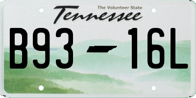 TN license plate B9316L