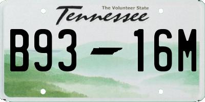 TN license plate B9316M