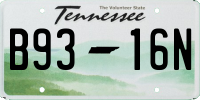TN license plate B9316N