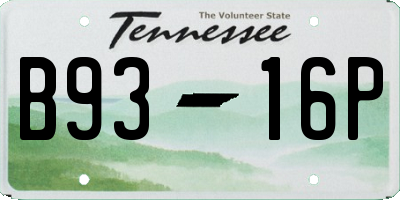 TN license plate B9316P