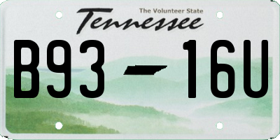 TN license plate B9316U