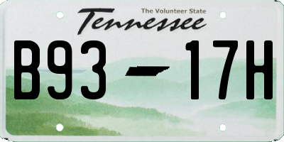 TN license plate B9317H