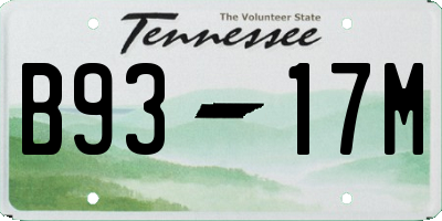 TN license plate B9317M