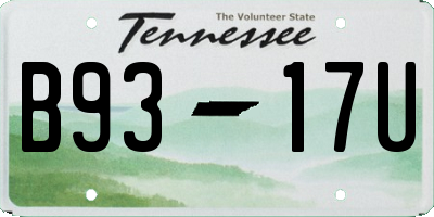 TN license plate B9317U