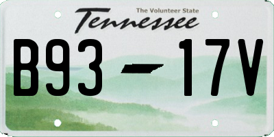 TN license plate B9317V