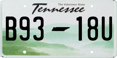TN license plate B9318U