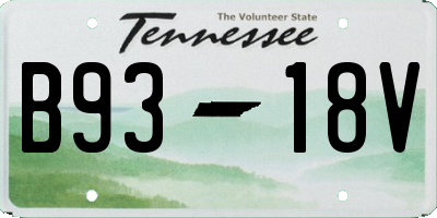 TN license plate B9318V
