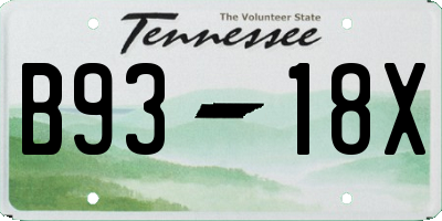 TN license plate B9318X